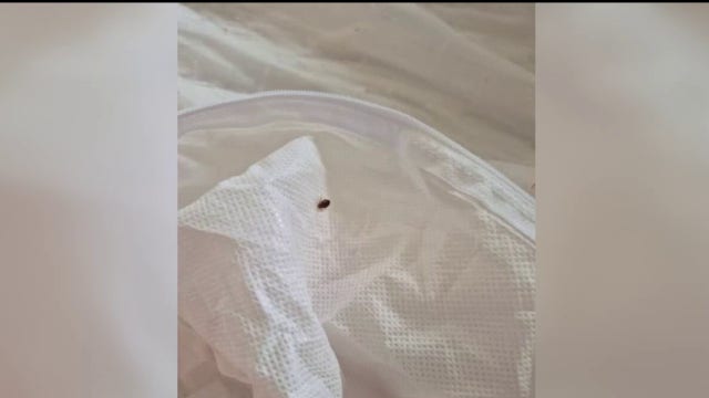 'Disgusted and downright angry,' Southgate senior living facility residents report bed bugs