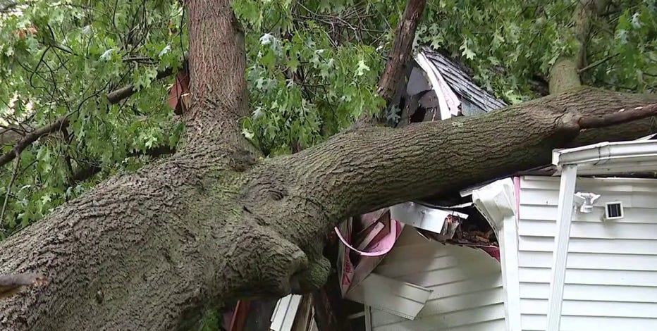 Detroit father shields newborn daughter as tree crashes onto home during storms