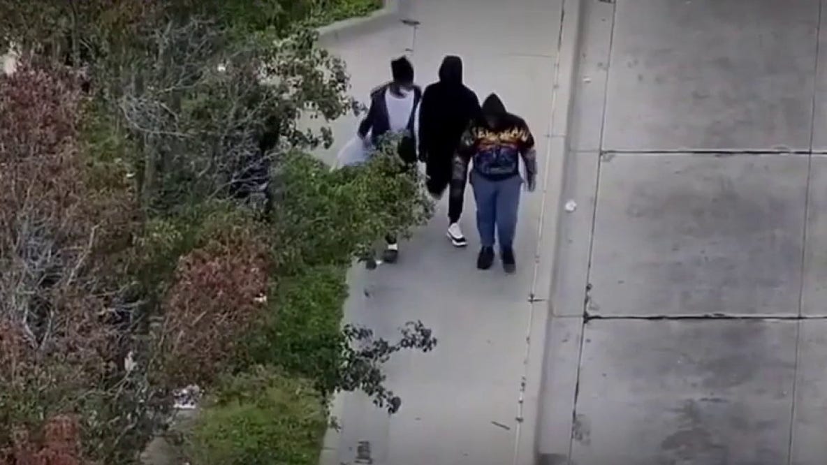 Dearborn police catch two teens accused of attempted carjacking using drones