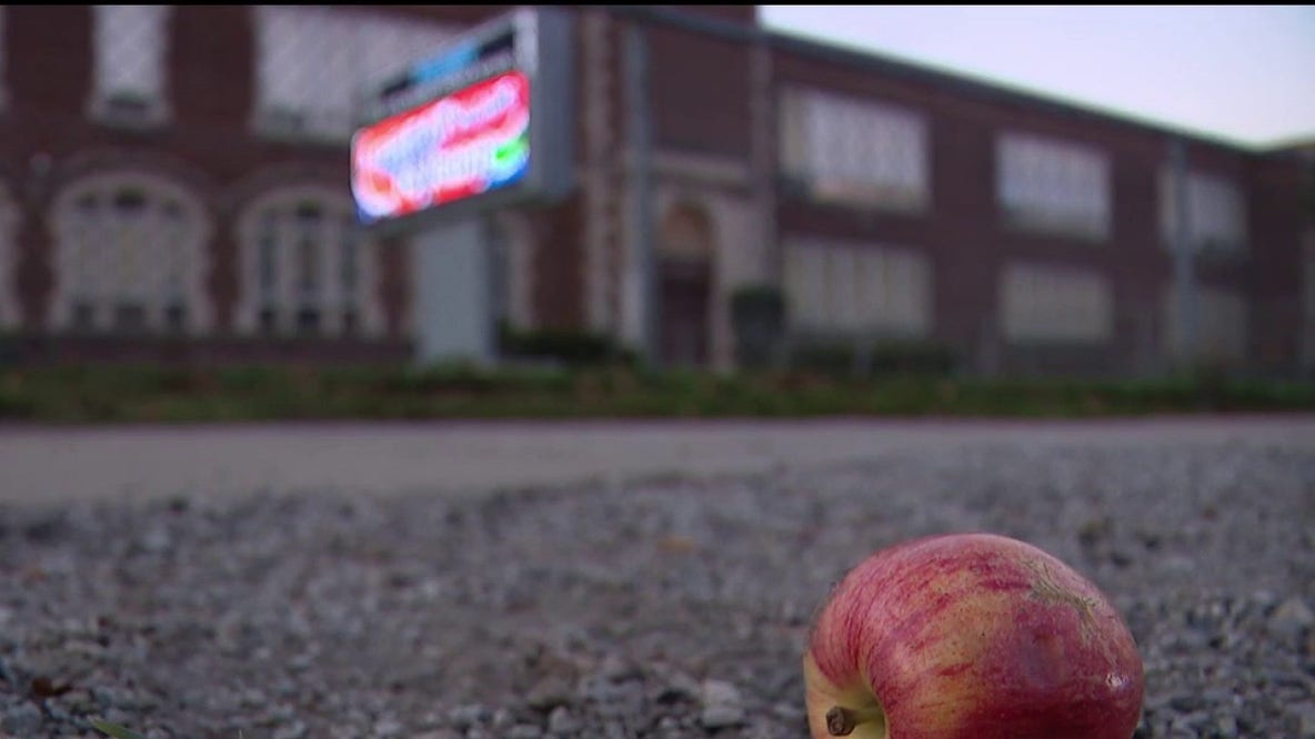 Detroit mom seeks justice after Priest Elementary staff member allegedly assaults her son