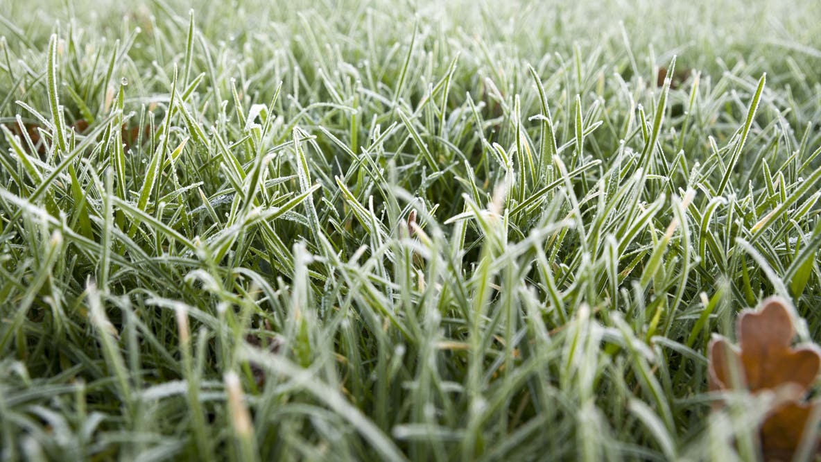 Frost advisory tonight in metro Detroit