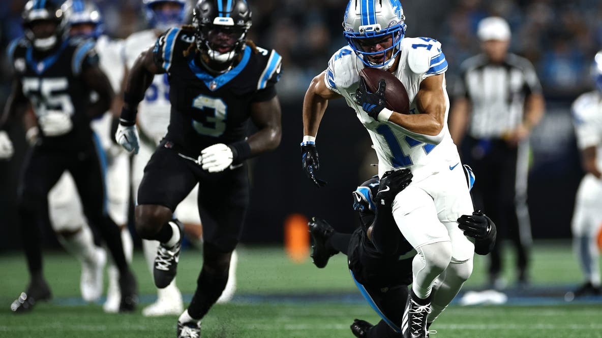 Lions fall to Panthers in battle of the big cats
