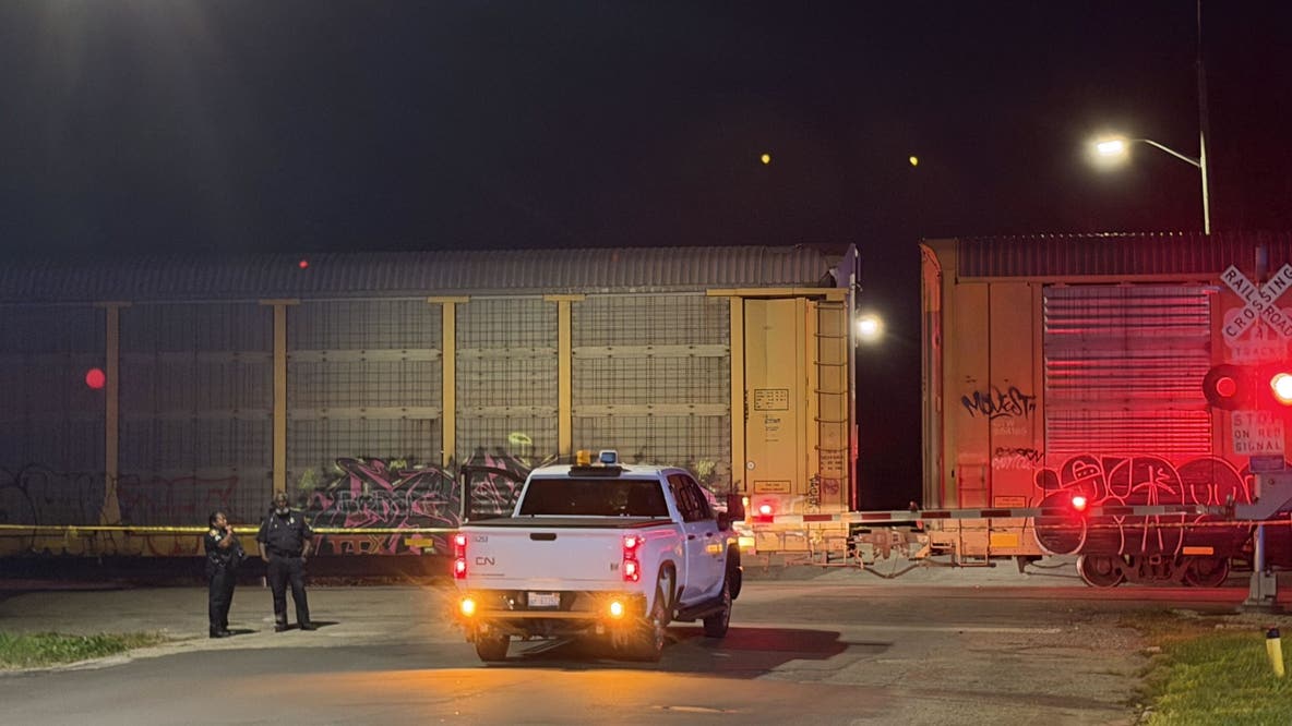 3 people struck by train in Ecorse, including 2 children