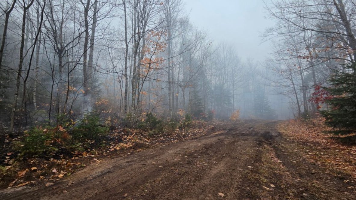 What is the status of Michigan's wildfires up north?