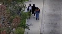 Dearborn police catch two teens accused of attempted carjacking using drones