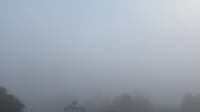 Metro Detroit weather: Dense fog advisory to start Sunday