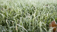 Frost advisory tonight in metro Detroit
