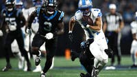Lions fall to Panthers in battle of the big cats
