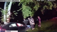 Teen leads Monroe police on pursuit, crashes and jumps into River Raisin