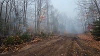 What is the status of Michigan's wildfires up north?