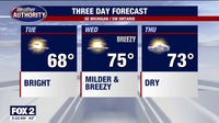 Metro Detroit weather: Mild afternoon incoming, warmer for Wednesday