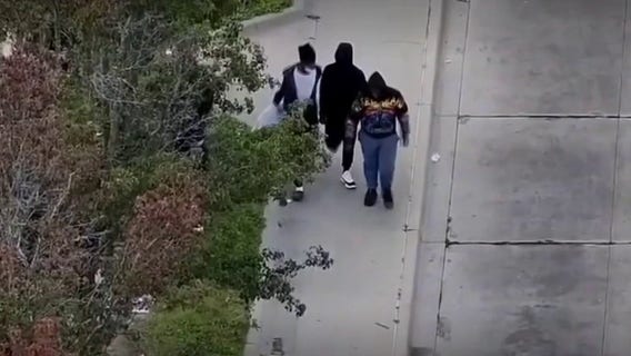 Dearborn police catch two teens accused of attempted carjacking using drones