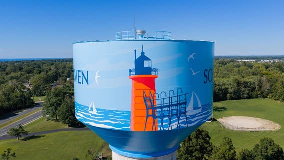 Michigan water tower a favorite to win 'Tank of the Year'