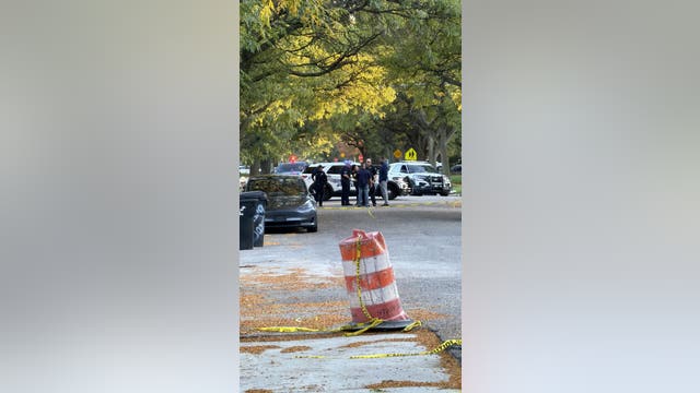 Postal carrier attacked in Detroit in the area of Eight Mile and Joann, four people arrested