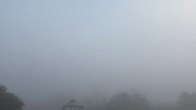 Metro Detroit weather: Dense fog advisory to start Sunday