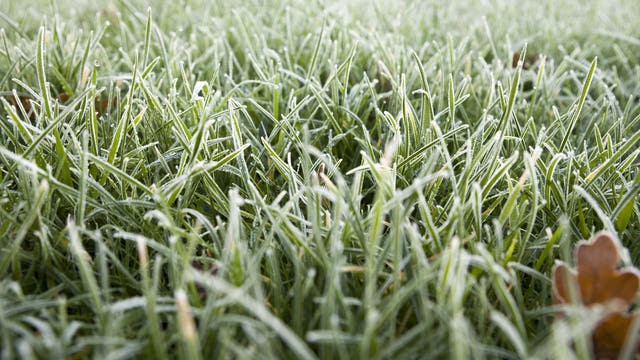 Frost advisory tonight in Metro Detroit
