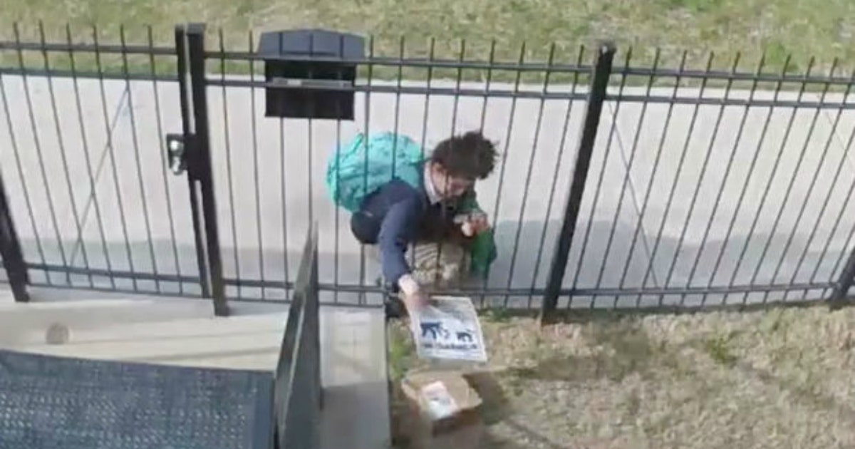 Chicago Police looking for student caught on camera stealing package ...