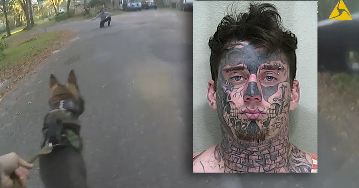 Suspected car thief arrested after being tracked by K-9 | FOX 32 Chicago