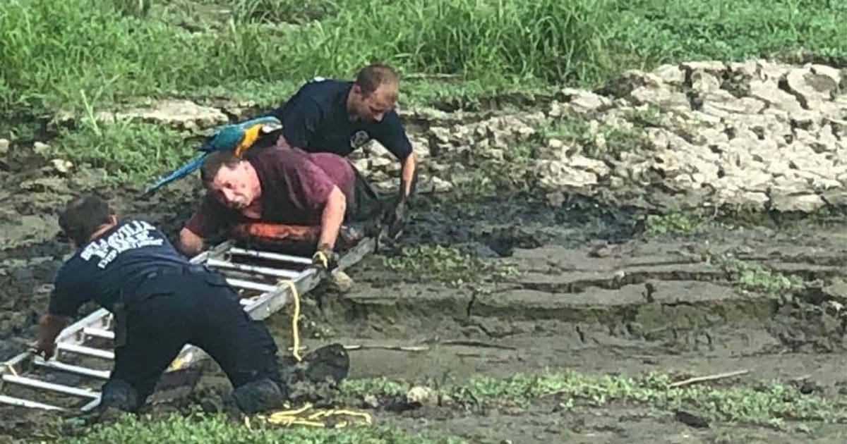 Man rescued from mud with parrot perched on his shoulders | FOX 32 Chicago