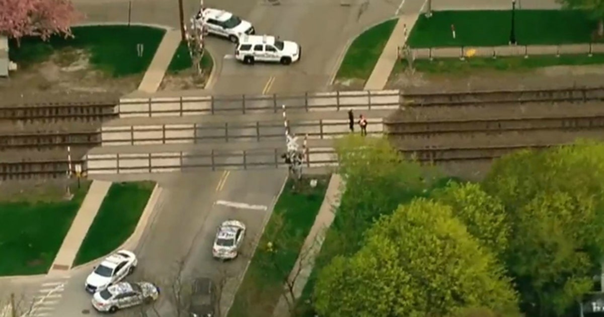 Woman fatally struck by BNSF train in La Grange identified | FOX 32 Chicago