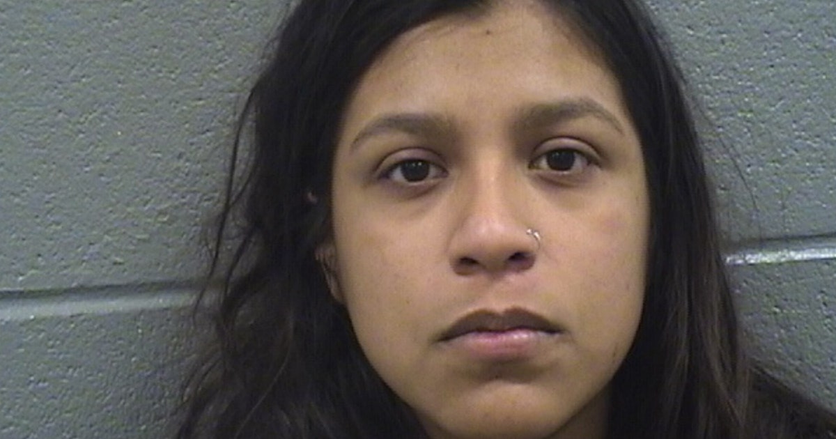 Woman charged with DUI in crash that killed Cook County sheriff's ...