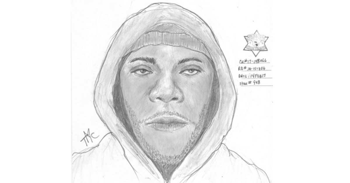 Police release sketch of man wanted in South Side sexual assault | FOX ...