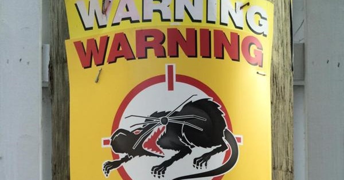 Chicago Target Rats Sign Residents say rats are overrunning Chicago's North Side | FOX 32 Chicago
