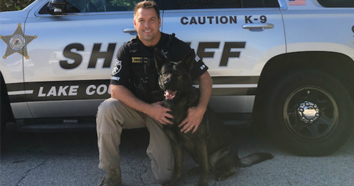 K-9 Dax tracks down missing, intoxicated man in ditch in Beach Park ...