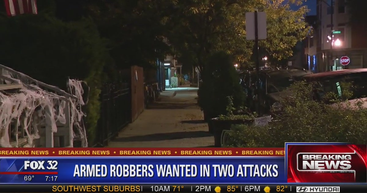 Woman attacked by armed robber in Pilsen | FOX 32 Chicago