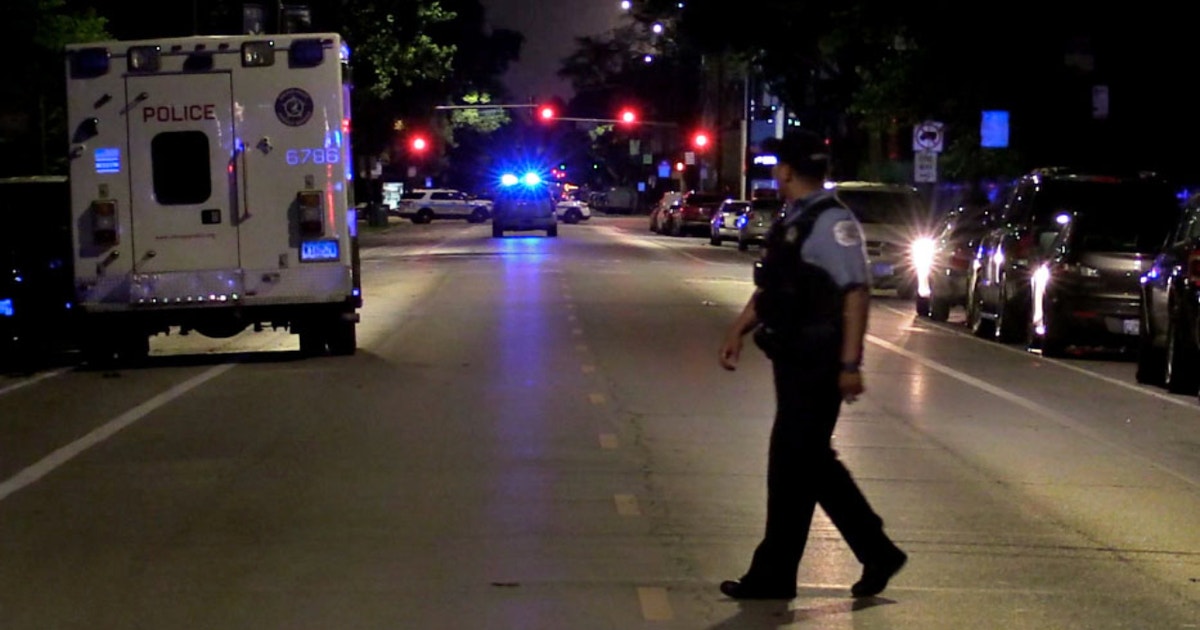 Man, girl dead in Douglas Park murder-suicide identified | FOX 32 Chicago