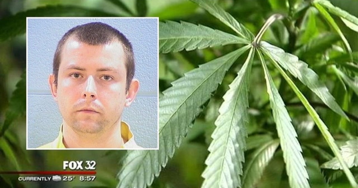 Chicago man gets 20 years for fatally stabbing friend over pot plant ...