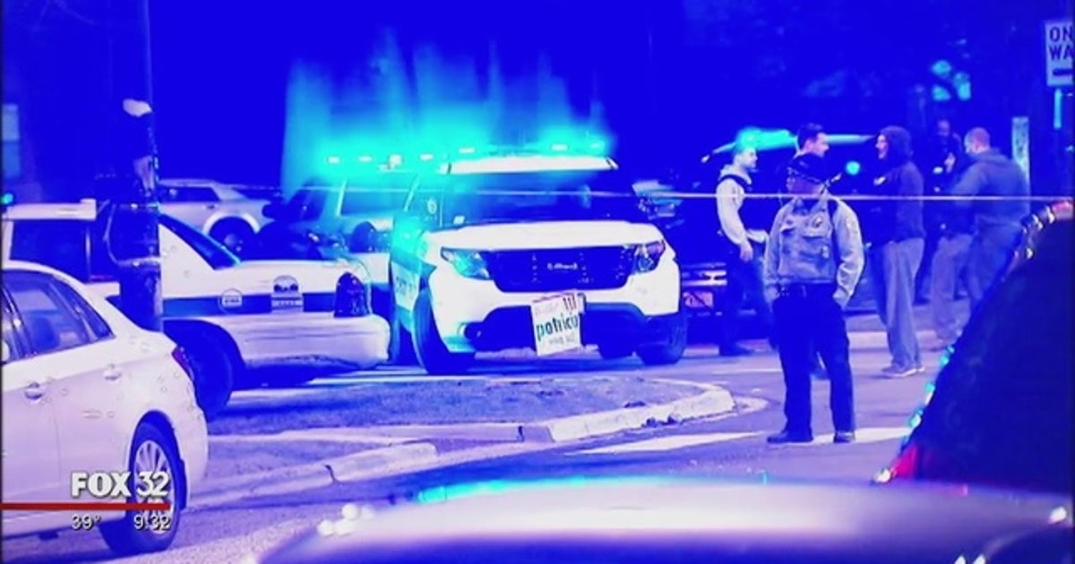 Chicago police arrest nearly 100 gang members in crime fight | FOX 32 ...
