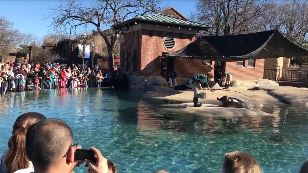 Lincoln Park Zoo prepares for active threat exercise
