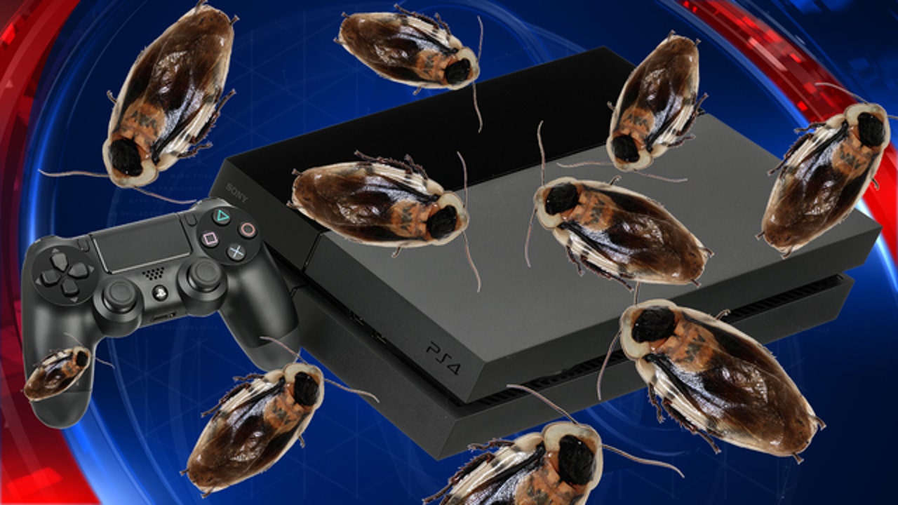 Cockroaches may be inside your PS4