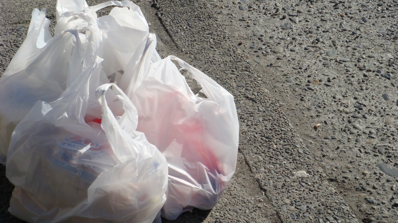 City of Evanston to Ban Plastic Bags, News