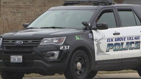 Drivers injured in 2-vehicle crash in Elk Grove Village: police