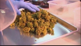 Chicago wants public to weigh in on legal marijuana sales