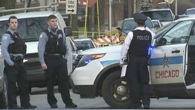 2 men riding in vehicle killed in South Chicago shooting: police