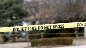 Warning to South Loop residents about robbers attacking people, shoving them to the ground