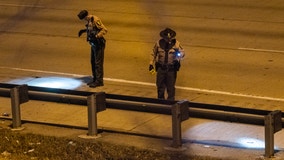 Man shot on expressway on Chicago's South Side