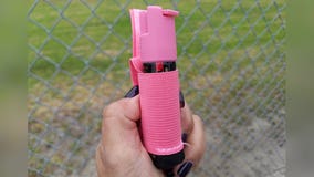 Chicago woman claims stranger pepper-sprayed her dogs while they were in their own yard