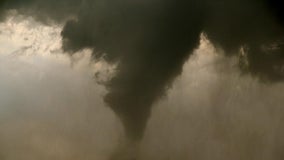 At least 4 tornadoes hit Chicagoland overnight amid severe storms: NWS