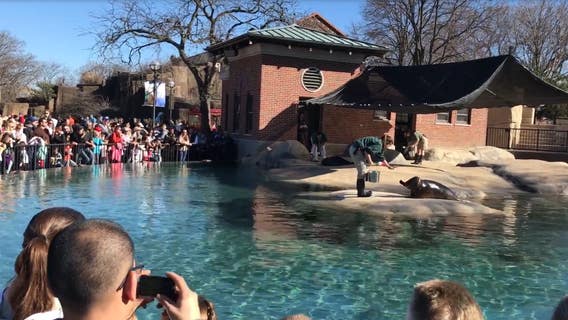 Lincoln Park Zoo prepares for active threat exercise