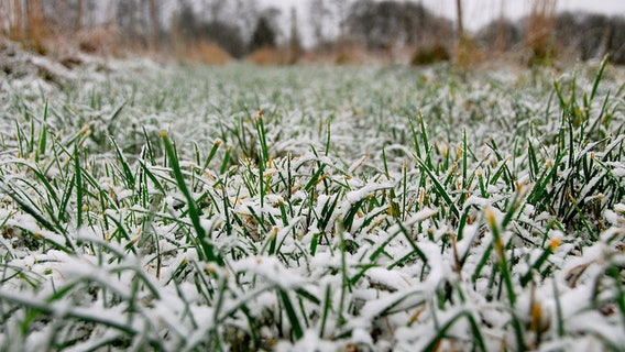 Chicago weather: Flurries today, lake-effect snow advisory in NW Indiana
