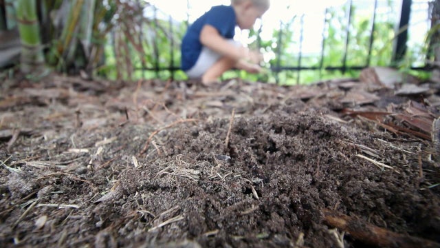 Dirt can be good for kids, some say