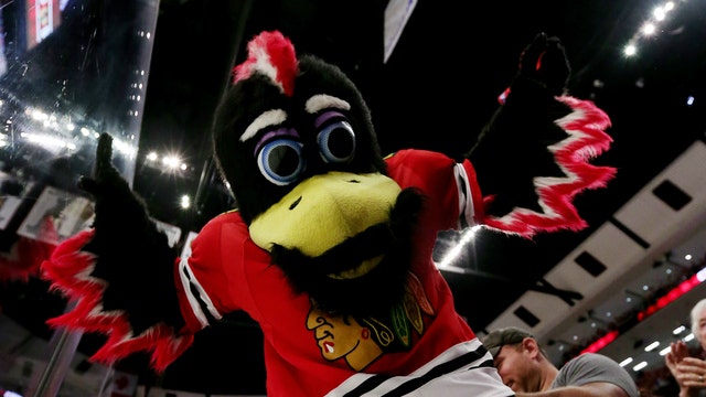 Blackhawks mascot Tommy Hawk involved in attack