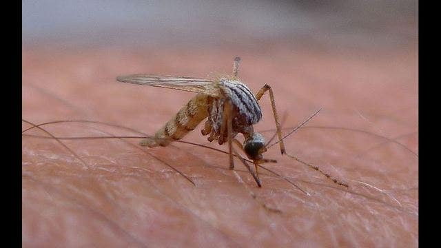 United, American offering refunds for travel to Zika areas