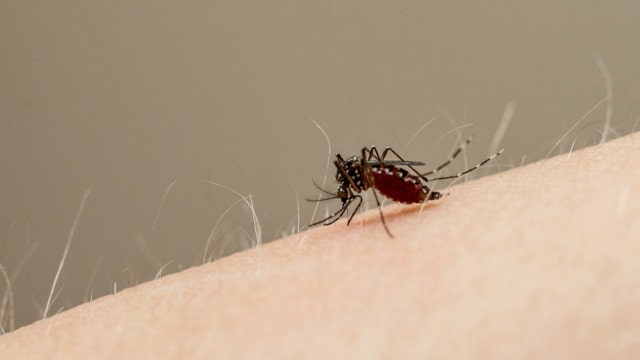 9 positive West Nile virus samples now reported in Will County