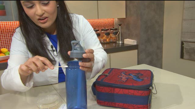 What could be lurking in your child's lunch bag? Mold, E. coli and fecal bacteria