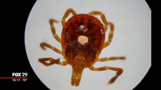 Tick season brings more danger this year